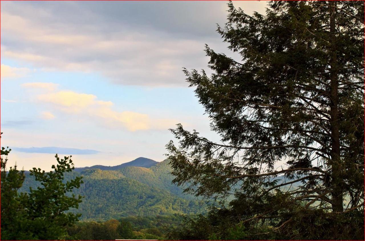 Franklin Terrace Bed And Breakfast Εξωτερικό φωτογραφία